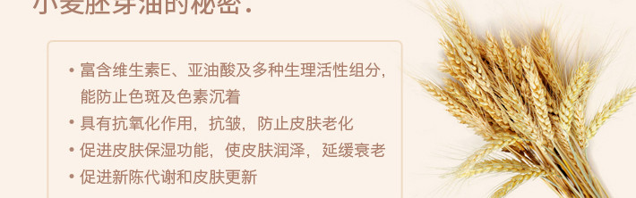 SKINFOOD 思亲肤 小麦散粉 21# 自然色 23克