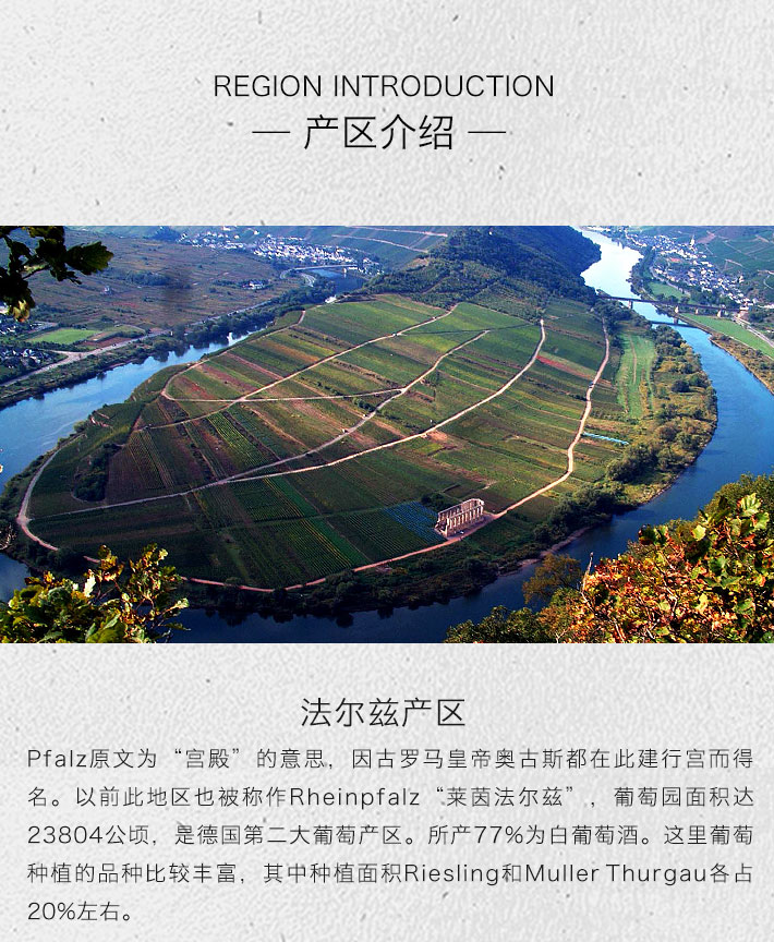 德国酒门 50周年庆典 长相思干白葡萄酒 750ml